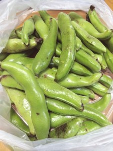 10401440_496293533832621_1705854337894079889_n