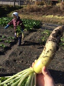 10731171_601596393302334_2084495373706417600_n