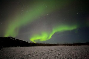 11016723_651307648331208_6649659604407379112_n