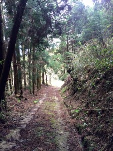 10409004_671675192961120_8401325763121517971_n