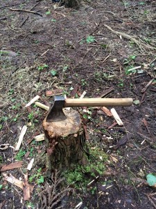 11148504_671675376294435_1212486681874867068_n