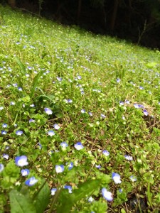 22617_671682692960370_117052171746149843_n