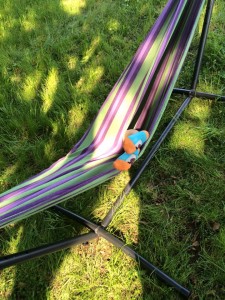 11203067_693209254141047_1959559617711943766_n