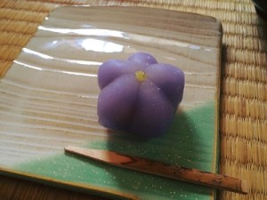 11243642_707847832677189_6684870401366167993_nmini